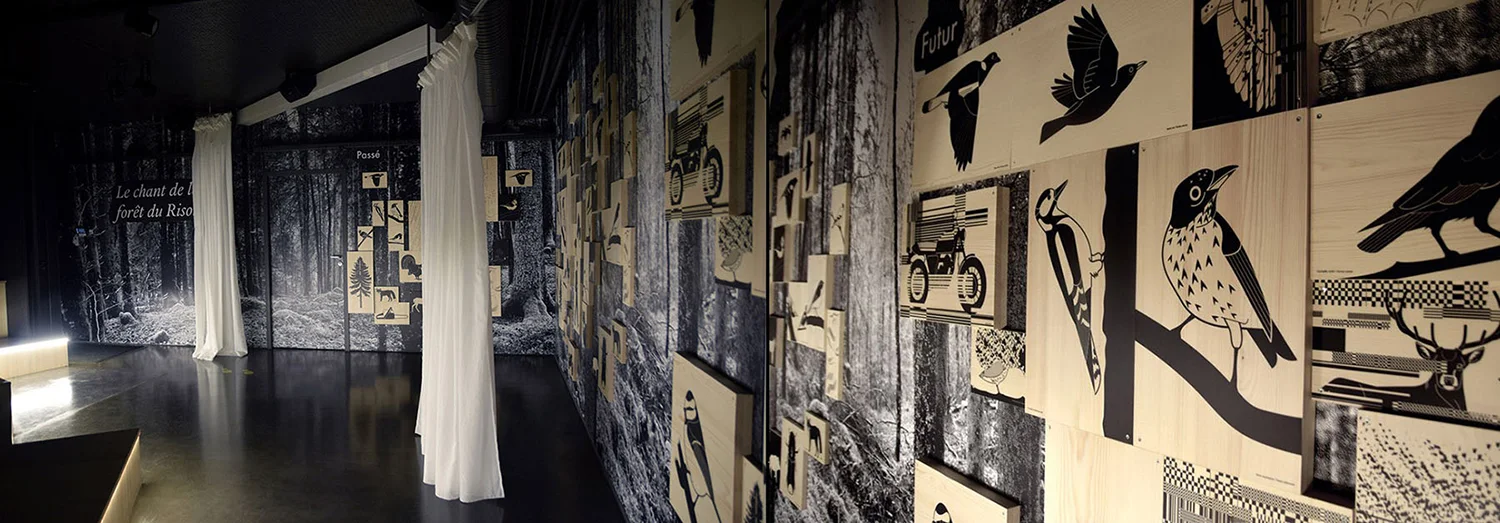 Le chant de la forêt du Risoux